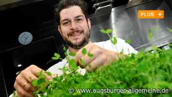 Augsburg: Michelin-Stern für Lokal Alte Liebe: "Es ist ein Spagat, der Spaß macht" | Augsburger Allgemeine - Augsburger Allgemeine