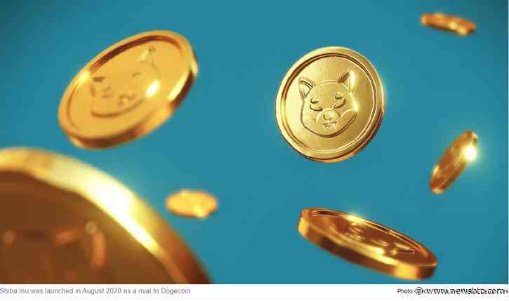 Move Over Bitcoin – Is Shiba Inu The Next Crypto Gold?