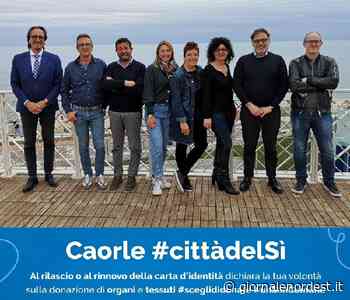 Caorle:#città del sì/giornata nazionale donazione organi – Giornale Nord Est - giornalenordest