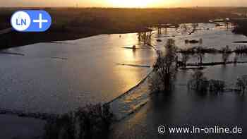 Hochwasser zwischen Bad Oldesloe und Reinfeld: Trave tritt über die Ufer - Lübecker Nachrichten