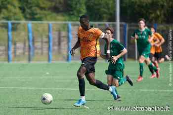 Foto - Primavera, le foto di Benevento - Pisa 1-2 - Ottopagine