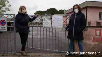 Giornata della terra: a Pisa rubate le piantine del progetto ambiente ai piccoli studenti - LA NAZIONE
