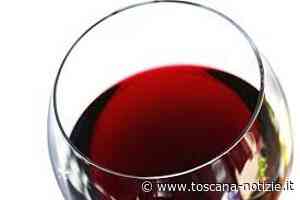 Terre di Pisa DOC, ok della Regione alla modifica del disciplinare - Toscana Notizie