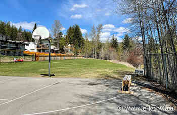 New playground coming to Swan Avenue Park | Kimberley - E-Know.ca