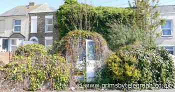 The incredible overgrown house plucked straight from a post-apocalyptic film - Grimsby Live