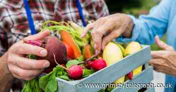 Organic vegetables 'contaminated with harmful disease-causing bacteria' - Grimsby Live