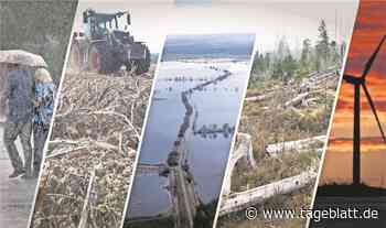 Der Klimawandel macht krank - Mehr Schlaganfälle und Herzinfarkte - Landkreis Stade - Tageblatt-online