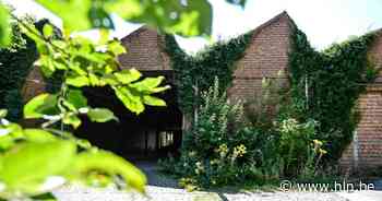 Sloop oude sporthal VHVD start maandag | Zele | hln.be - Het Laatste Nieuws