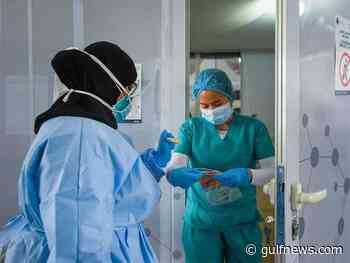 COVID-19: UAE reports 244 new coronavirus cases, 361 recoveries, 0 deaths - Gulf News