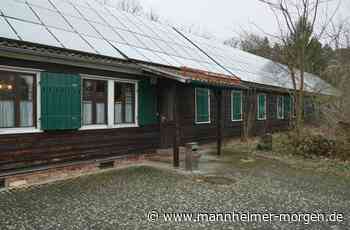 Viele Lampertheimer stellen Wohnungen für Geflüchtete bereit - Lampertheim - Nachrichten und Informationen - Mannheimer Morgen