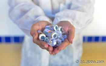 Itapeva, Avaré e Piraju fazem mutirões para vacinar moradores contra a Covid-19 - Globo