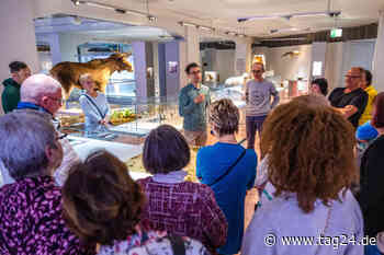 Chemnitz: Nur die Liebe zählt - Museum entdeckt völlig neue Zielgruppe mit Single-Treff - TAG24
