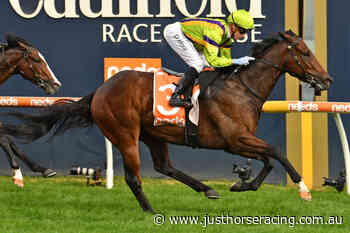 Punters Step into one in the VOBIS Gold Dash at Caulfield - Just Horse Racing
