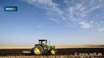 Wirtschaft warnt vor „einer der größten Hungersnöte der Menschheitsgeschichte“