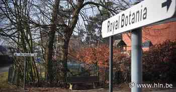 Nijlens meubelbedrijf krijgt award voor lokaal ondernemen | Nijlen | hln.be - Het Laatste Nieuws