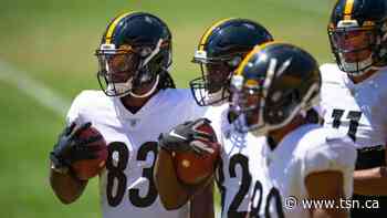 Tiger-Cats sign American WR Johnson - TSN