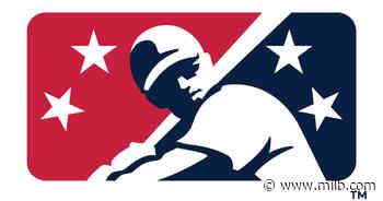 Sky Carp 5, Cubs 7 (Final Score) on Gameday - MiLB.com