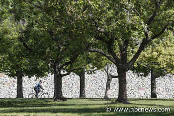 Major cities work to remove barriers for tree canopy coverage in underserved communities