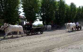 Cosa fare a Vercelli e dintorni: gli eventi dal 22 al 24 aprile 2022 - Prima Vercelli