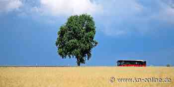 Gewitter und Regen zum Wochenstart im Süden – der Norden bleibt trocken