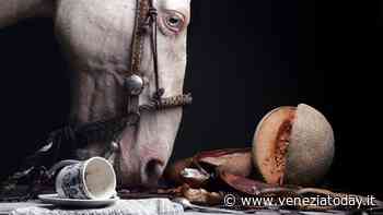 Mostra finale Malamegi lab - Venice’22 - VeneziaToday