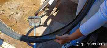 Após levantamento do Índice de Breteau, Dracena entra em estado de alerta com relação à dengue - Globo