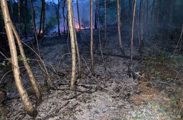 FW-Lohmar: Schwer zu erreichender Flächenbrand fordert Einsatzkräfte am Samstagabend