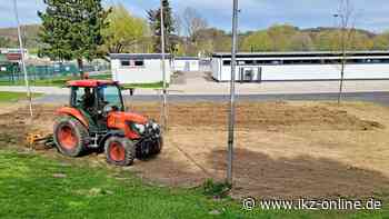 Der Frühling ist da – und in Hemer sollen Wiesen erblühen - IKZ News