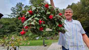 Saale-Holzland und Jena: Freunde der Fuchsie starten ins Jahr