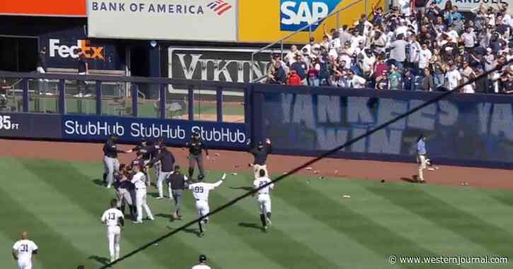 Yankees Fans Labelled 'Worst Fan Base on the Planet' After Pelting Opposing Players in Ugly Incident