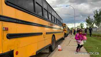 Diversity, central anti-racism policy needed in Edmonton schools, non-profit report finds