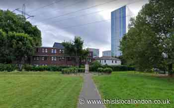 Colliers Wood: Staffordshire Bull Terrier attack in Wandle Park