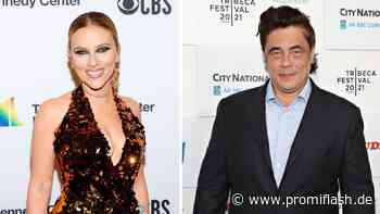 Hatte Scarlett Johansson Sex im Aufzug mit Benicio del Toro? - Promiflash.de