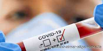 Inzidenz im Kreis Hildesheim steigt wieder deutlich über 1000 - www.hildesheimer-allgemeine.de