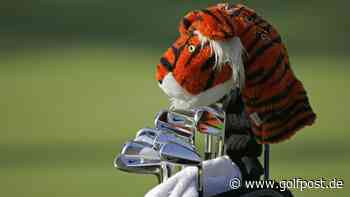 Selbst Tiger Woods muss herhalten: Tausendundeins Gründe für neues Spiel-Zeug - Golf Post