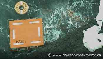 10 of 26 people from sunken Japan tour boat confirmed dead - Dawson Creek Mirror