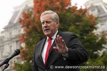 Official: Meadows had been warned of possible 1/6 violence - Dawson Creek Mirror