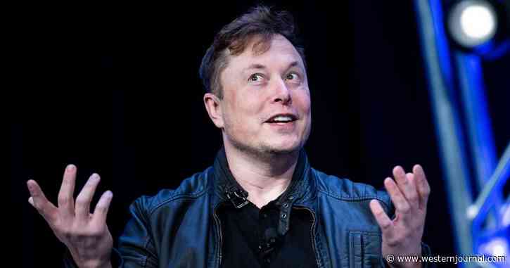 No Twitter Purchase? Elon Musk Shocks World with Message About Moving on as Supporters Beg Him to Stay and Fight