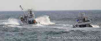 Japon: 10 morts dans le naufrage d'un bateau touristique