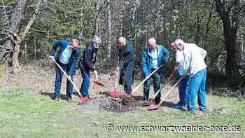 Pflanzung in Neubulach: Start frei für einen Baumlehrpfad
