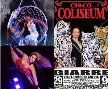 A Giarre: tradizione e bellezza dell'arte circense con lo show del Circo Coliseum - IMGpress