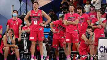 Perth Wildcats coach Scott Morrison and captain Jesse Wagstaff address the end of club's NBL finals streak - The West Australian
