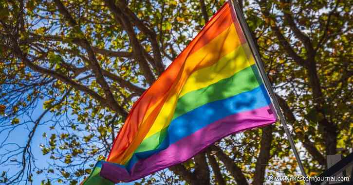 DeSantis Effect? Exxon Bans LGBTQ Rainbow Flag from Being Displayed During Pride Month