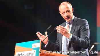 Merz: Gemeinsamer Antrag zu Waffenlieferungen