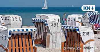 Strandkörbe mieten: Wo gibt es einen und was kostet er?