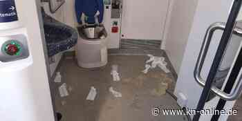 Hooligans aus Halle verwüsten Züge und greifen Polizisten an