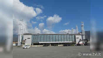 Mercato dei fiori e Regione - Notizie Pistoia,Prato, Firenze - TVL - News