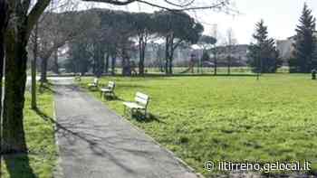 Prato, foreste ovunque per salvarci dagli inquinanti che ci avvelenano - Il Tirreno