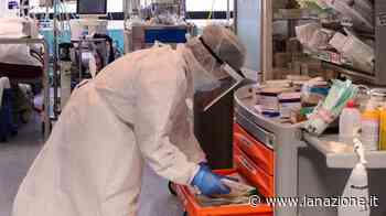 Epatite acuta: il bambino di 3 anni di Prato resta gravissimo - LA NAZIONE