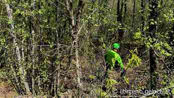 Ciclista nella scarpata, il conducente dell'auto è scappato - Il Tirreno